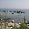 balazsh - 2008 - Aliki