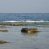 balazsh - 2008 - Aliki