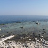 balazsh - 2008 - Aliki