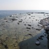 balazsh - 2008 - Aliki
