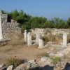 balazsh - 2008 - Aliki