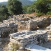 balazsh - 2008 - Aliki