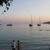 balazsh - 2008 - Aliki