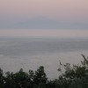 balazsh - 2008 - Aliki
