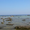 balazsh - 2008 - Aliki