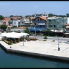 balazsh - 2006