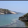 balazsh - 2006