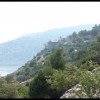 balazsh - 2006