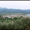 balazsh - 2006