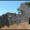 balazsh - 2006
