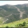 balazsh - 2006