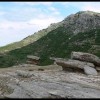 balazsh - 2006