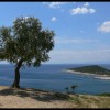 balazsh - 2006