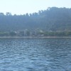 balazsh - 2007