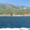 balazsh - 2007