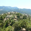 balazsh - 2007