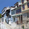 balazsh - 2007