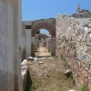 balazsh - 2007
