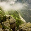 Barna és családja