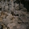 Barlang part