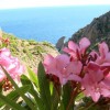 2015.05.13. - Samothraki