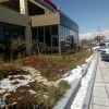 arak_husvet2018_16