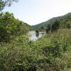 238.	Bulgária – Meszta folyó