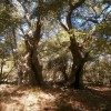 Samothraki 2014. szeptember