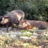 Samothraki 2014. szeptember