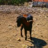 Samothraki 2014. szeptember