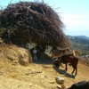 Samothraki 2014. szeptember