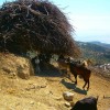 Samothraki 2014. szeptember