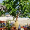 Golden Beach - Centrum partszakasz