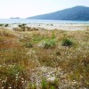 Golden Beach - Nagy strand