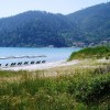 Golden Beach - Nagy strand