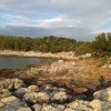 Szakmári Anna - 2015 tavasz