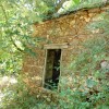 verus - 2008