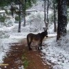 Tél - 2008.02.16.
