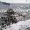 Tél - 2008.02.16.