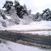 Tél - 2008.02.16.