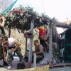 Farsang 2006